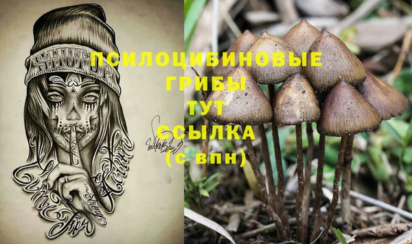 PSILOCYBIN Верхний Тагил